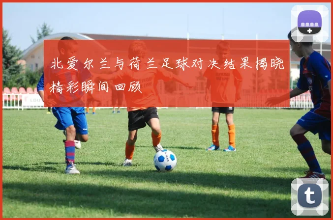 北爱尔兰与荷兰足球对决结果揭晓精彩瞬间回顾