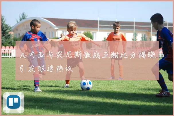 几内亚与突尼斯激战正酣比分揭晓引发球迷热议