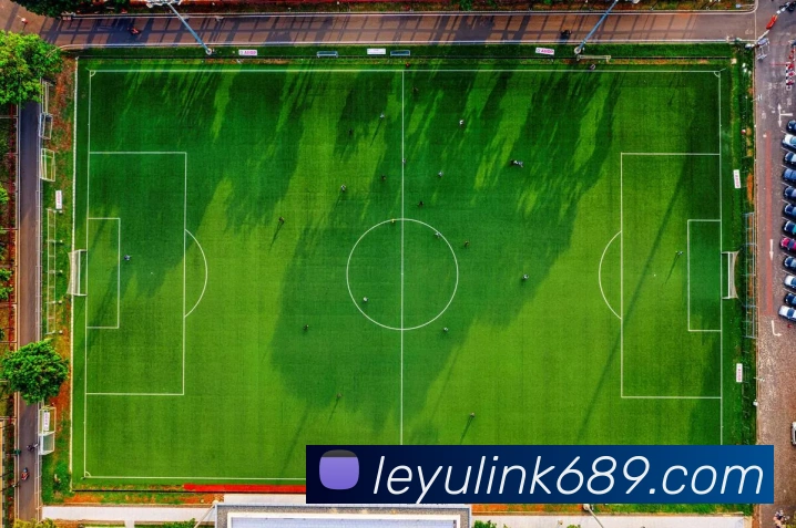 乐鱼体育APP 封面图